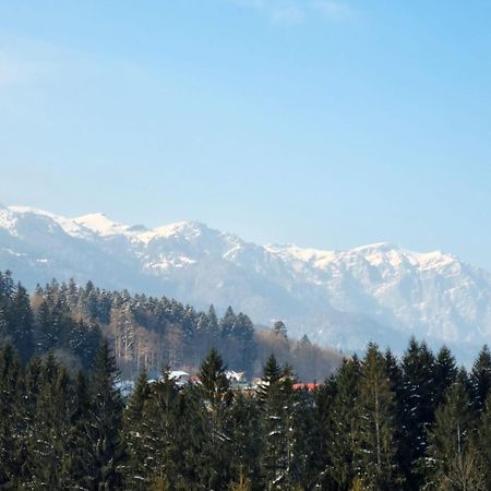 Vintage Home Sinaia Exteriér fotografie